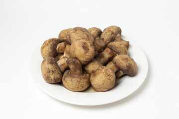 Boiled mushrooms on a white background. Boiled champignons on a white plate. Healthy diet