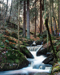 waterfall in the forest with long exposure