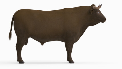 3d rendered illustration of the bovine anatomy - the body