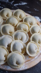 dumplings, a traditional dish of Russian cuisine, made of dough stuffed with minced meat, minced meat, cooking process, modeling, recipe