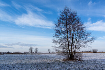 Zima w Narwiańskim Parku
Narodowym, Podlasie, Polska