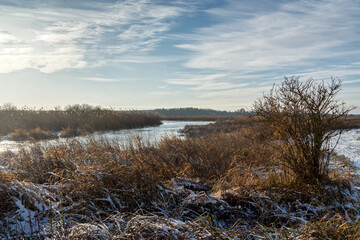 Zima w Narwiańskim Parku
Narodowym, Podlasie, Polska