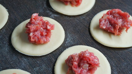 the process of cooking, modeling, recipe, dumplings, Traditional dish of Russian cuisine, round dough stuffed with minced meat, minced meat