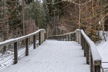 Hiking trail at the bavarian forest national park centre falkenstein, Ludwigsthal; in winter