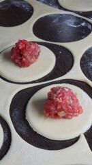 the process of cooking, modeling, recipe, dumplings, Traditional dish of Russian cuisine, round dough stuffed with minced meat, minced meat