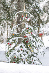 Close-up of a christmas tree in the snow outdoors