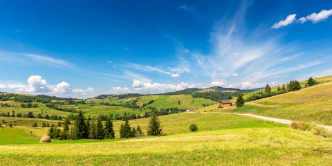 Fototapeta na wymiar rural landscape in mountains on a summer morning. wonderful nature scenery with forested rolling hills and green grassy meadows on a sunny day.