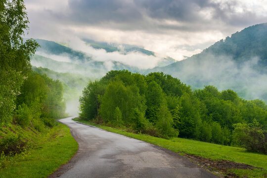 rural road in mountains. beautiful nature scenery on a foggy morning. trees on the meadow above the valley in mist beneath a sky with clouds