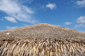 Detail of the thatched ceiling of the acai tree of the kiosks of the island of love in Alter do Chão, in the state of Pará, northern Brazil.