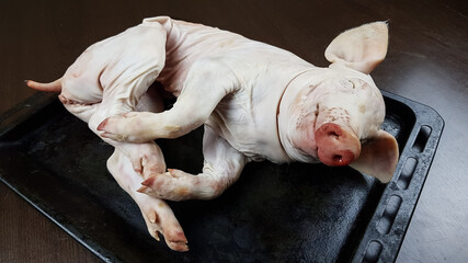 presentation of a suckling pig carcass on a black background. festive dishes from piglets. the...