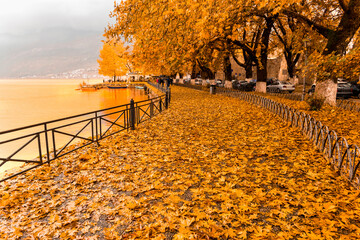 autumn yellow leaves on the road by the lake pamvotis in ioannina city greece