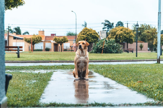 lluvia