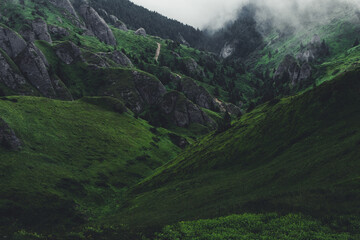 mountain landscape