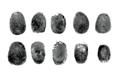 10 vector fingerprint set of each finger isolated on white background.