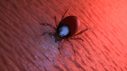 3d rendered illustration of a tick biting into human skin