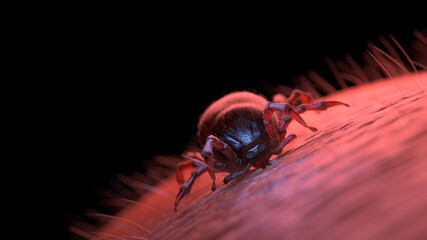 3d rendered illustration of a tick biting into human skin