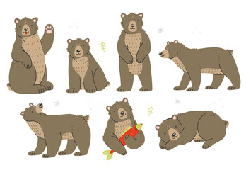 Set of bears characters in cute cartoon style. Isolated illustration.