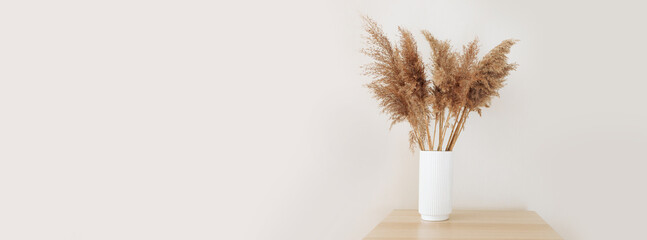 Beautiful natural pampas grass or Cortaderia selloana in a ceramic vase near beige wall, stylish...