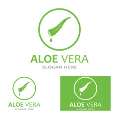 Aloe vera icon logo vector illustration template design