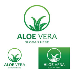 Aloe vera icon logo vector illustration template design