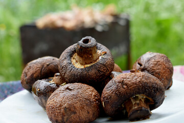 mushrooms on a table