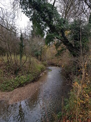 Stour river in Haverhill