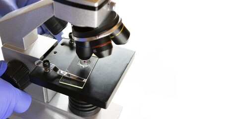 Using a microscope for biotechnology medical research on white background, copy space