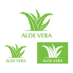 Aloe vera icon logo vector illustration template design