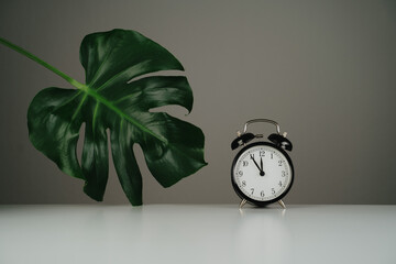 Black clock and green leaf