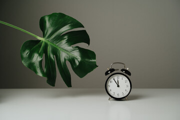 Black clock and green leaf standing on white table
