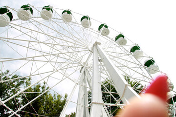 ferris wheel in the park