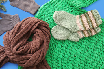 Stylish clothes and fir tree branch on blue background