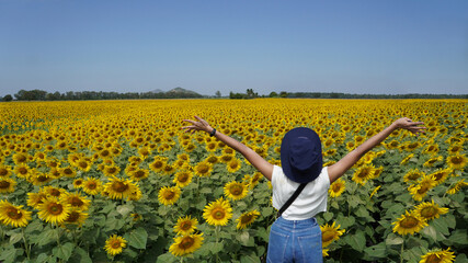 Asian woman standing and open arms in the sunflower field on sunny day