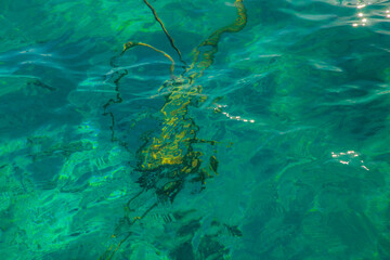 the clear waters of the Red Sea shimmer beautifully in all shades of blue and green