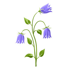 Blooming bluebell colored isolated doodle sketch