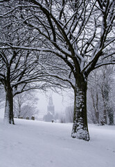 Glasgow Cathedral in the snow - Taken from the Glasgow Necropolis - Ground snow and beautiful trees.