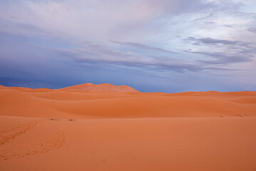 Fototapeta na wymiar Beautiful view of sand dunes in sahara desert against cloudy sky, Sand dunes with imprints in desert