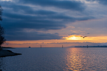 Konstanz Bodensee im Winter