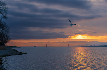 Konstanz Bodensee im Winter