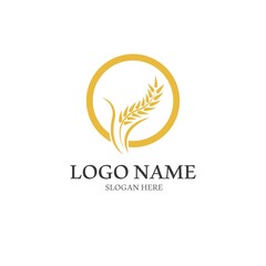 Wheat logo vector icon illustration