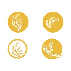 Wheat logo vector icon illustration