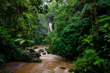 Fototapeta na wymiar Waterfall in Costa Rica