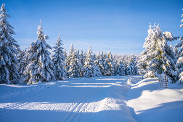 Cross country skiing track on sunny winter day