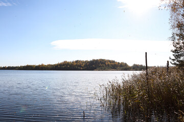 Small lake view on a lovely, sunny autumn day.