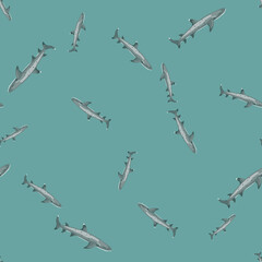 Reef shark seamless pattern in scandinavian style. Marine animals background. Vector illustration for children funny textile.