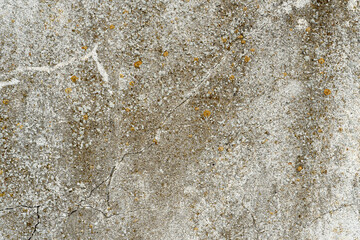 An empty multicolored background for use in advertising or design. An old concrete wall with cracks and traces of old paint. Place to insert text.