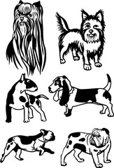 Cute simple dogs portraits colorful black