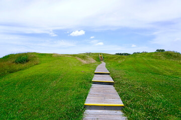 Fototapeta na wymiar Poverty Point World Heritage Site in Louisiana is a prehistoric monumental earthworks site constructed by the Poverty Point culture. Boardwalk stairs climbing the largest earthen mound - Mound A. 