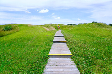 Fototapeta na wymiar Poverty Point World Heritage Site in Louisiana is a prehistoric monumental earthworks site constructed by the Poverty Point culture. Boardwalk stairs climbing the largest earthen mound - Mound A. 