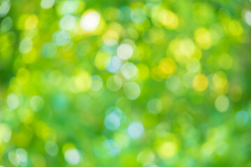 Fototapeta premium Abstract blur green leaf bokeh nature background